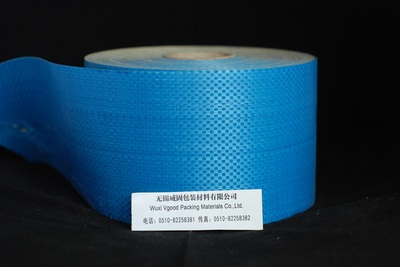 探索無錫編織布 從傳統(tǒng)涂膜編織布到環(huán)保生態(tài)毯的演進(jìn)