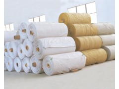 卷裝塑料編織布與復(fù)合膜 佛山市南海德龍塑料實(shí)業(yè)的專業(yè)供應(yīng)